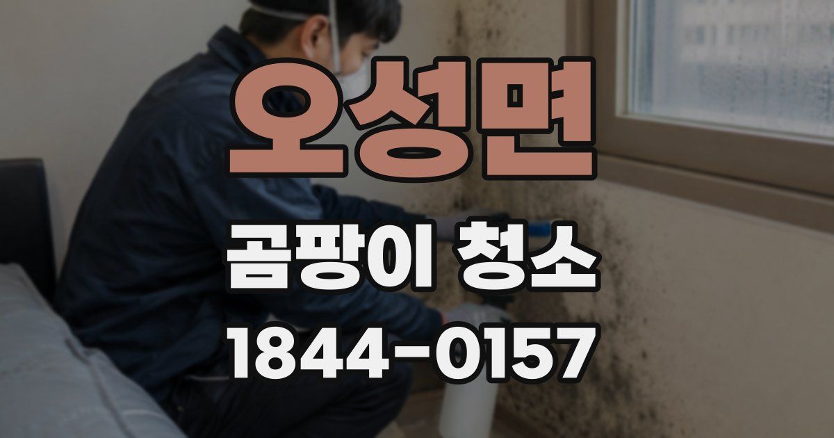 오성면 곰팡이 청소