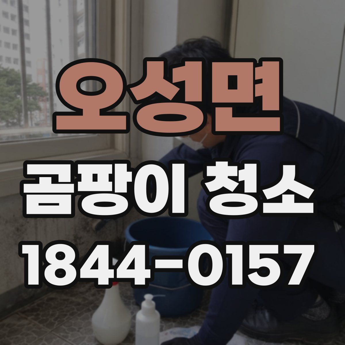 오성면 곰팡이 청소