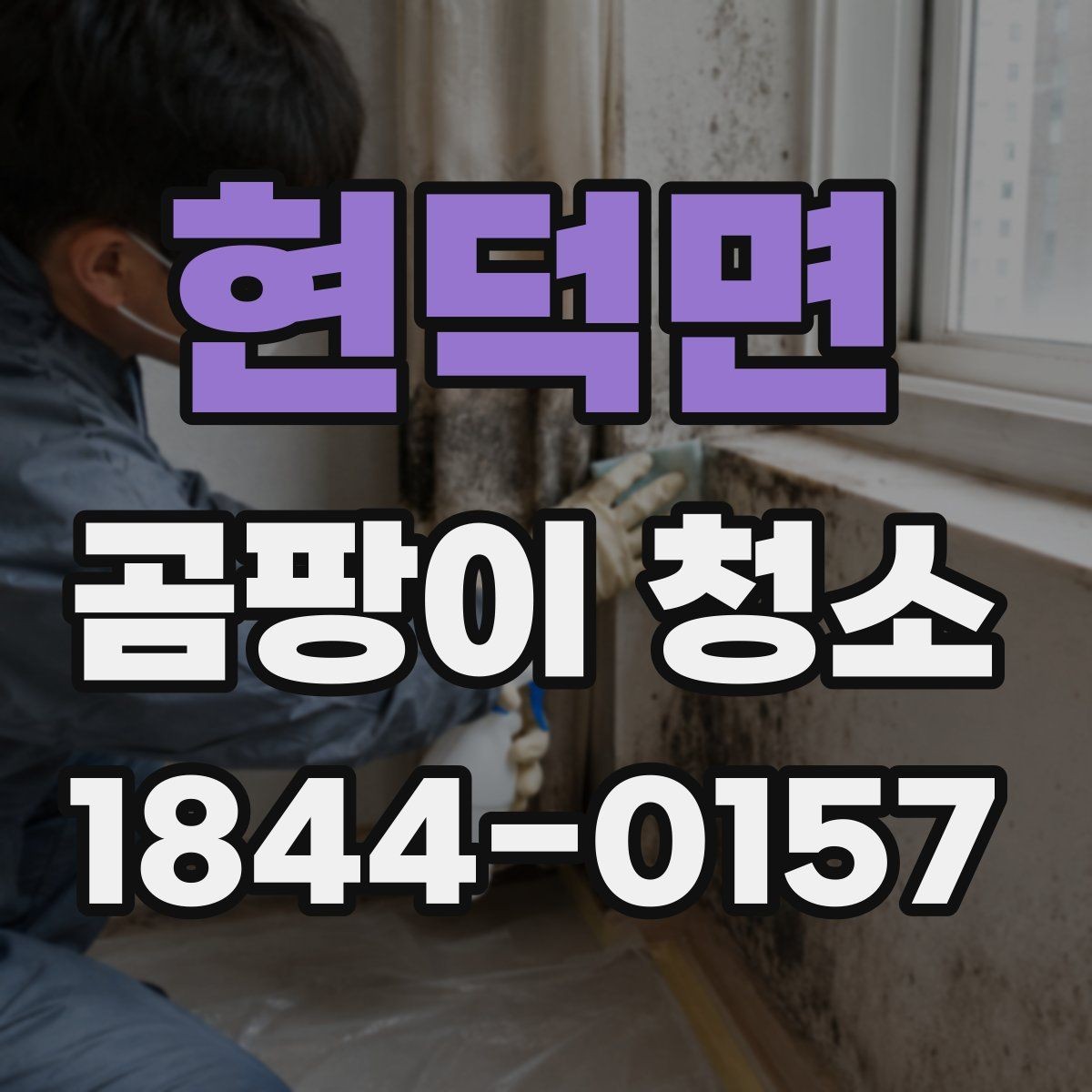현덕면 곰팡이 청소 견적이 달라지는 이유