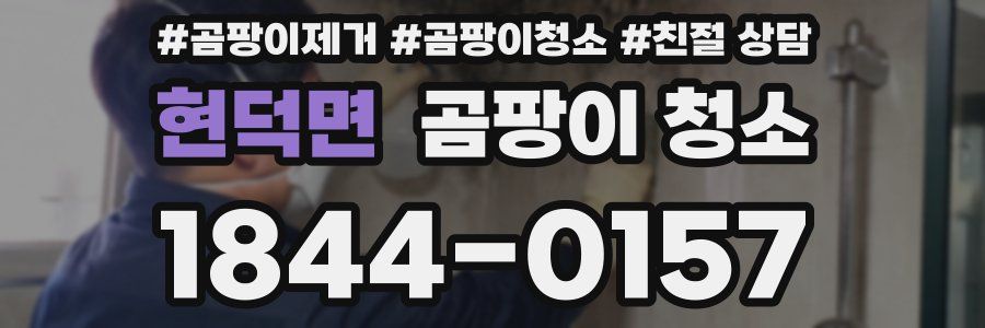 현덕면 곰팡이 청소
