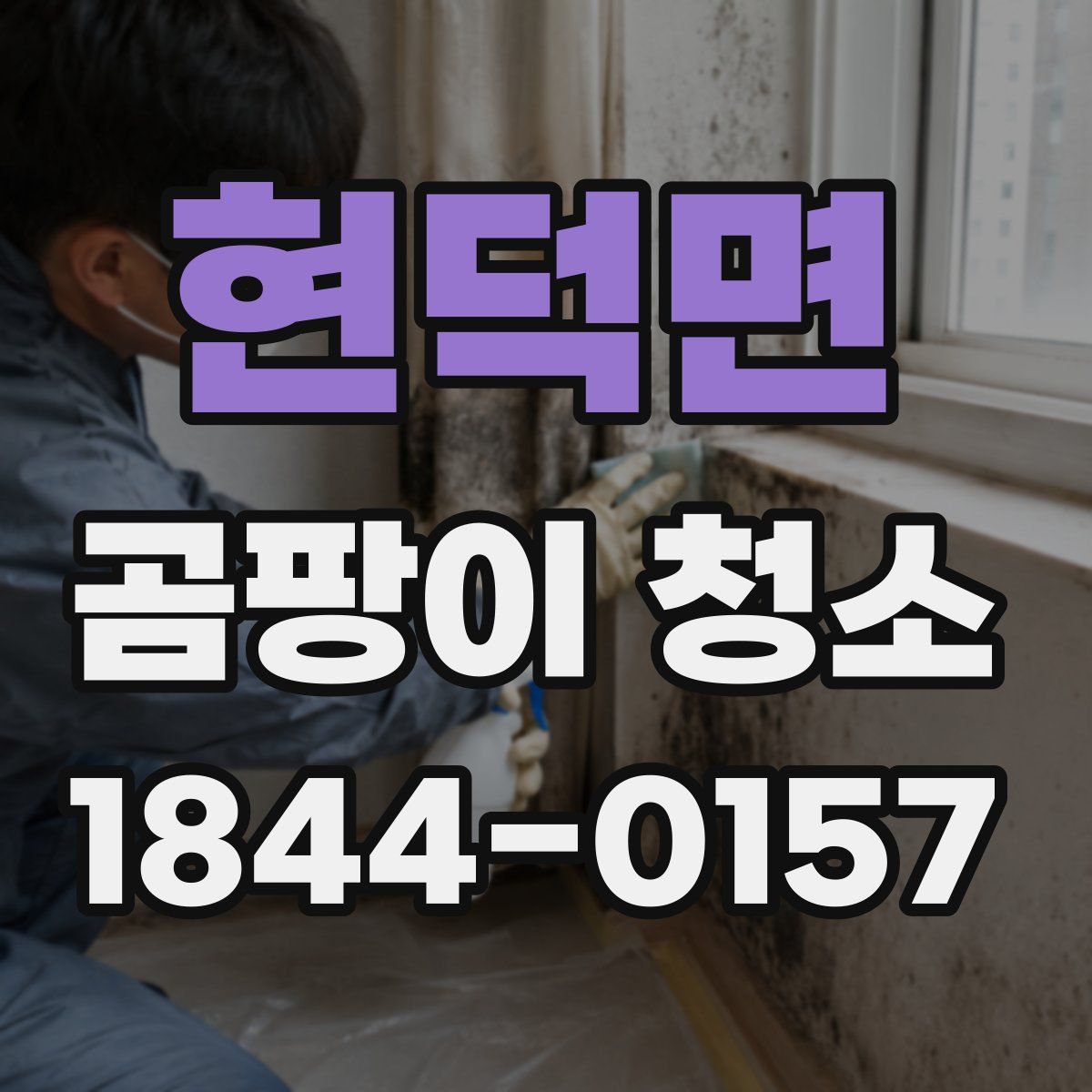 현덕면 곰팡이 청소