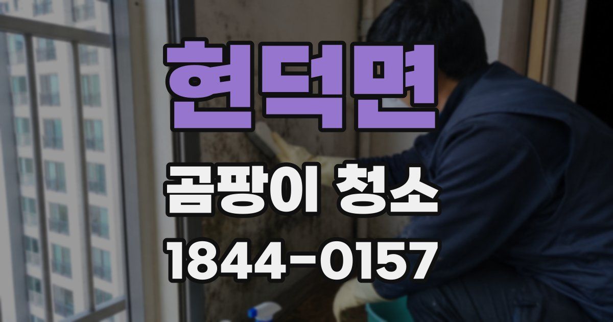 현덕면 곰팡이 청소