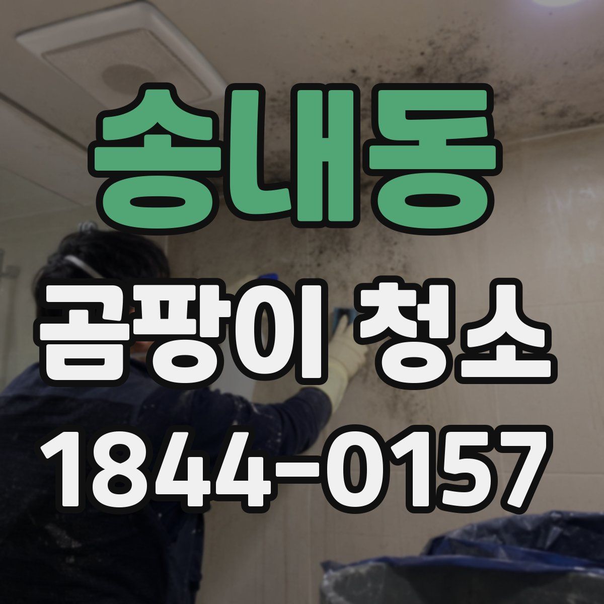 송내동 곰팡이 청소