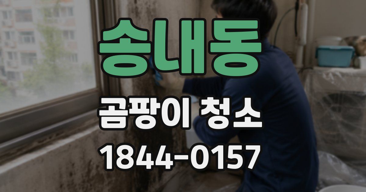 송내동 곰팡이 청소