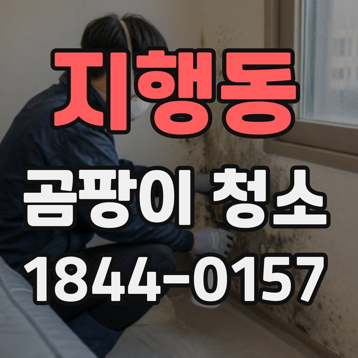 지행동 곰팡이 청소