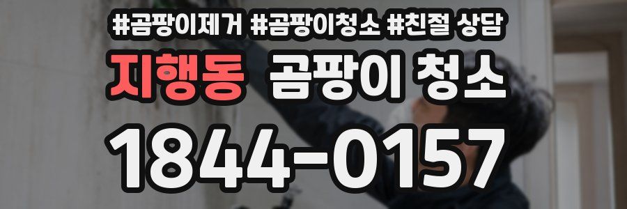 지행동 곰팡이 청소
