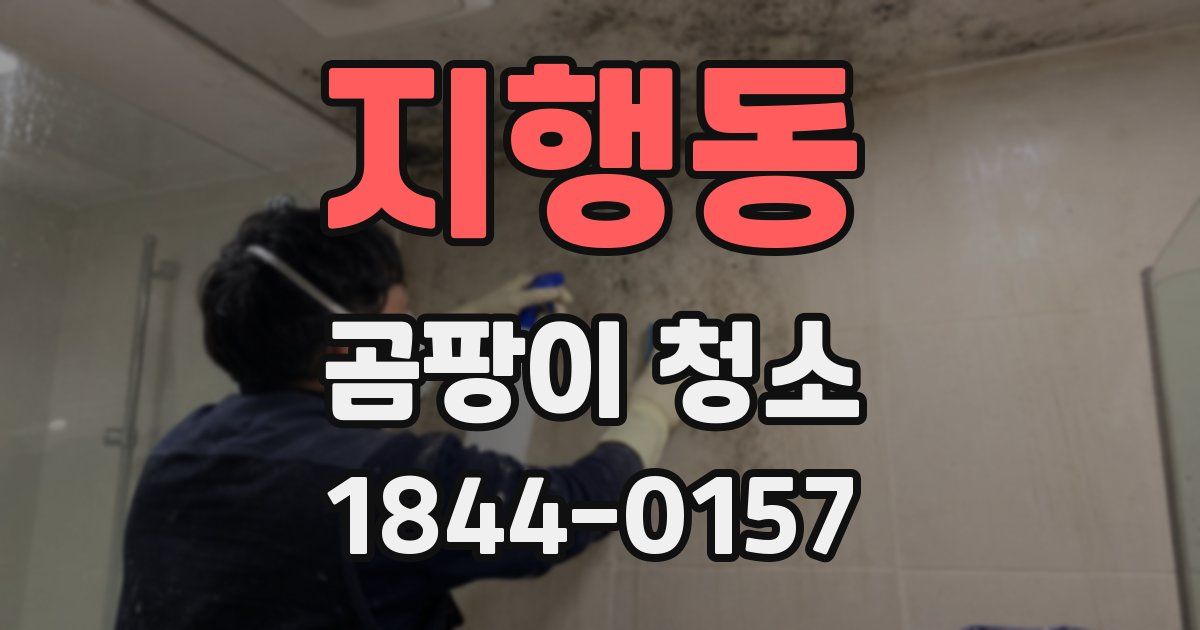 지행동 곰팡이 청소