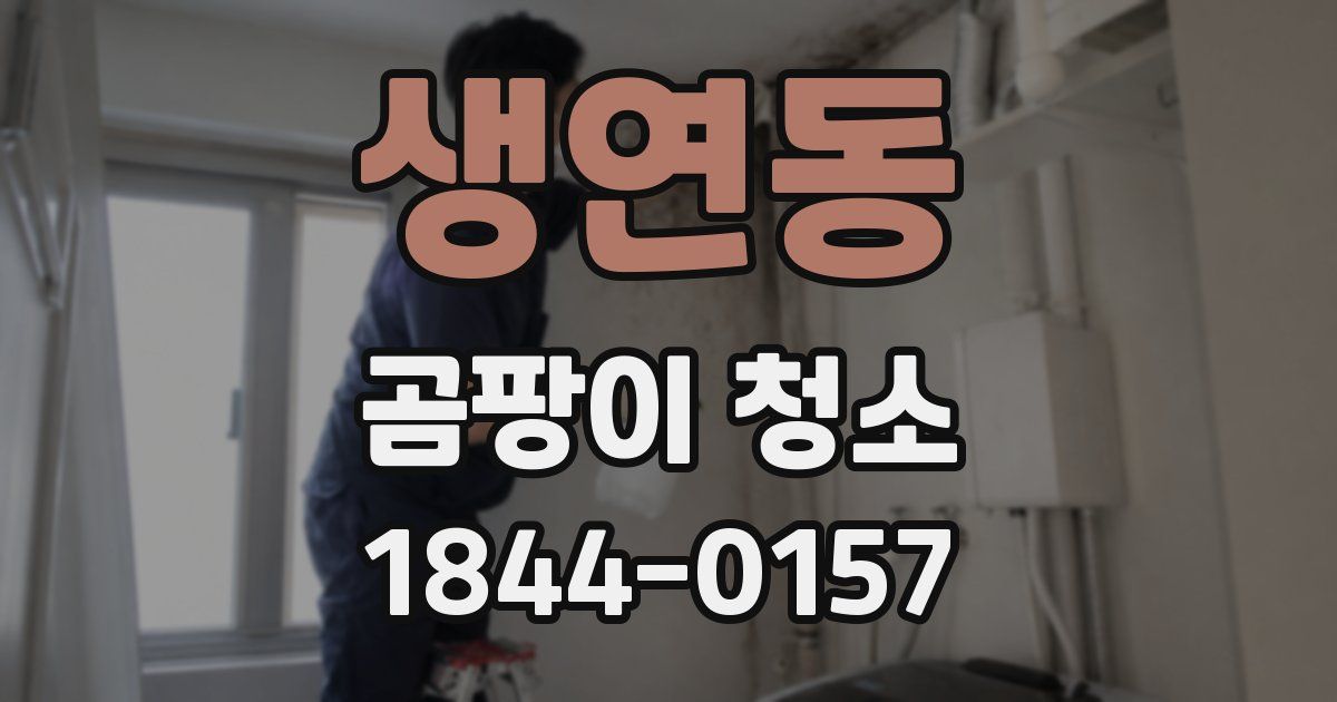 생연동 곰팡이 청소