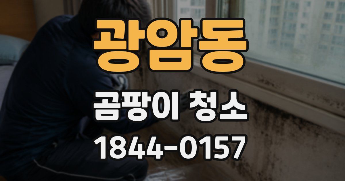 광암동 곰팡이 청소