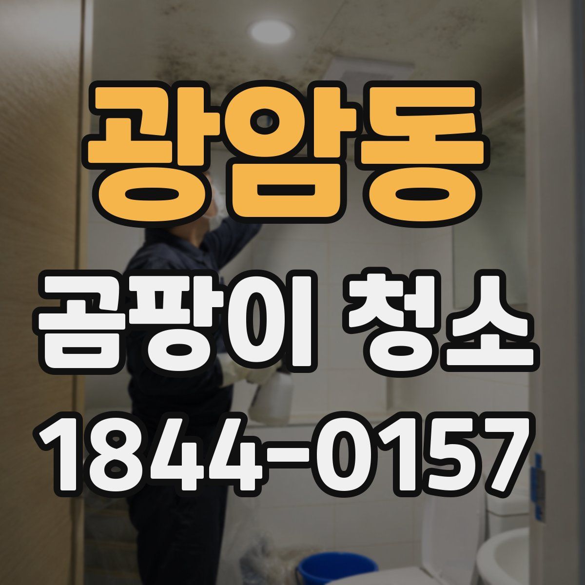 광암동 곰팡이 청소