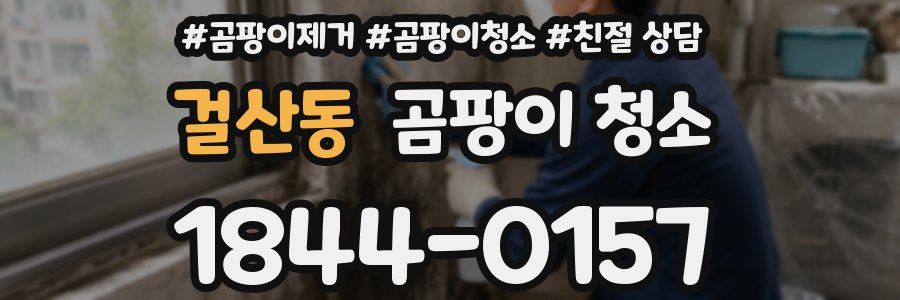 걸산동 곰팡이 청소
