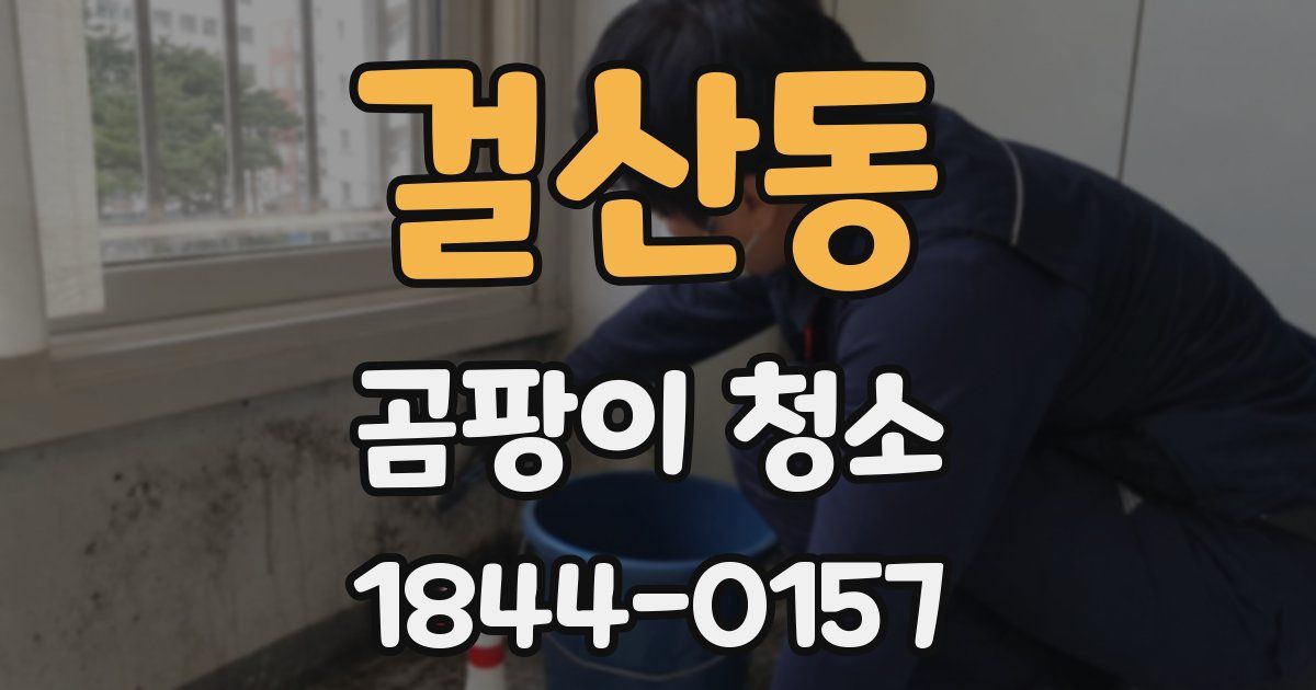 걸산동 곰팡이 청소