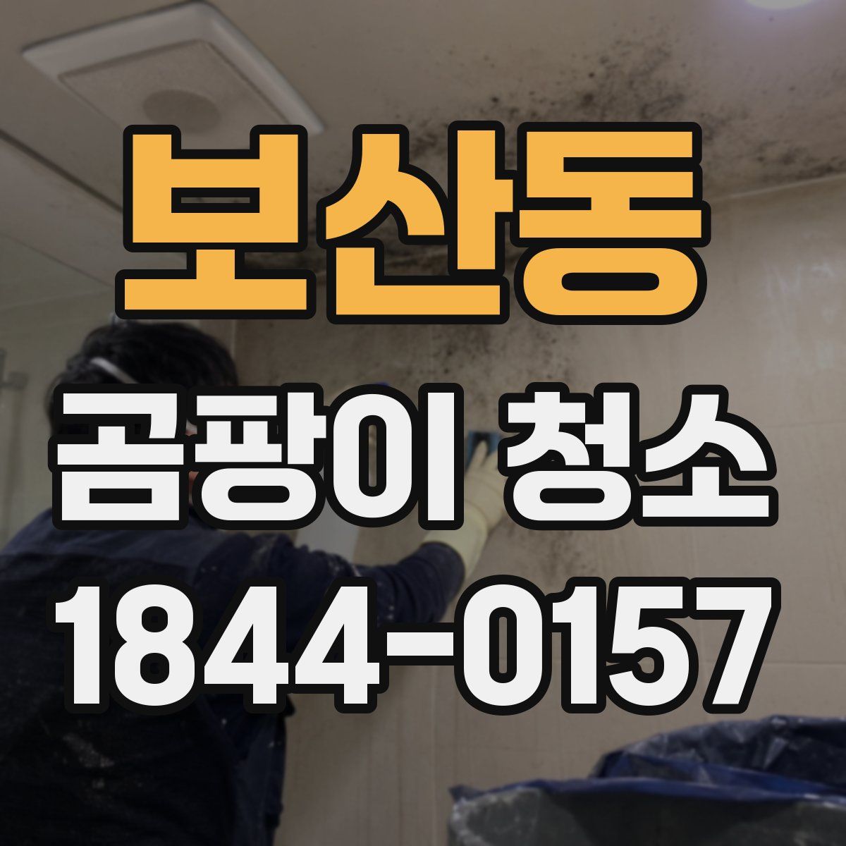 보산동 곰팡이 청소