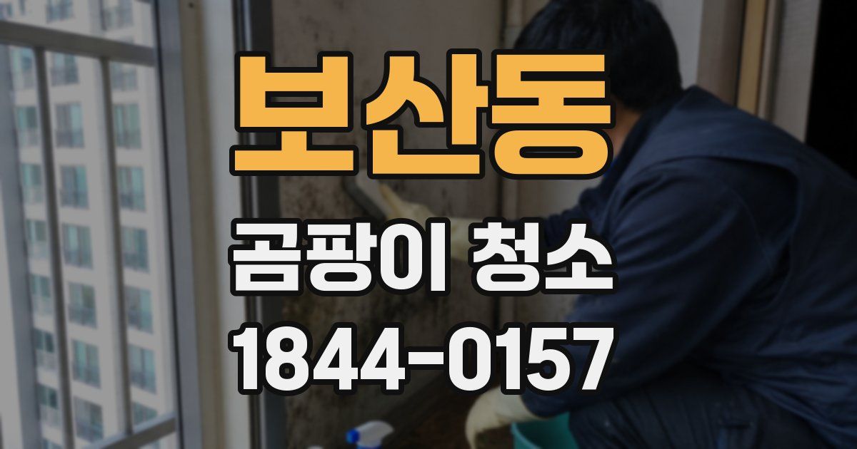보산동 곰팡이 청소