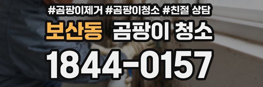 보산동 곰팡이 청소
