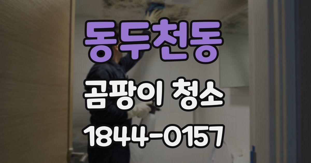 동두천동 곰팡이 청소