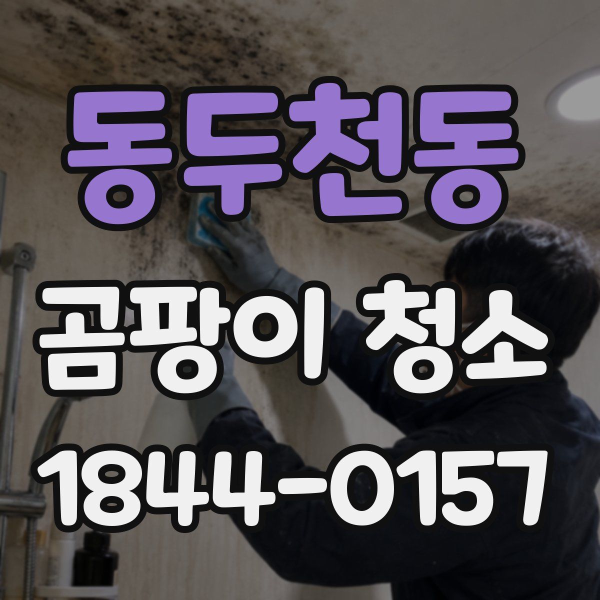 동두천동 곰팡이 청소
