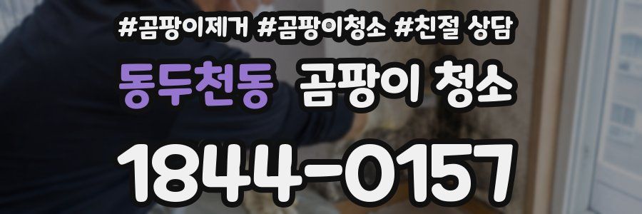 동두천동 곰팡이 청소