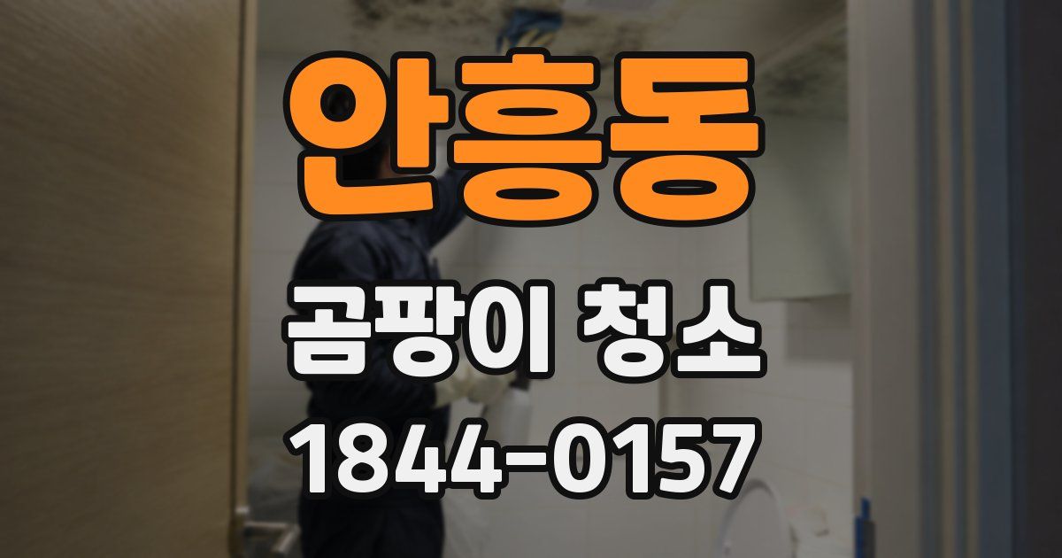 안흥동 곰팡이 청소