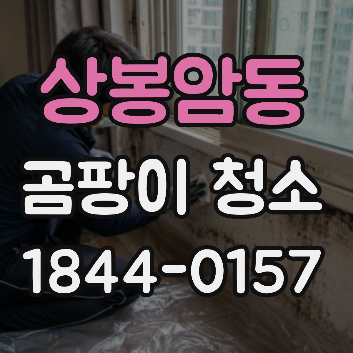 상봉암동 곰팡이 청소