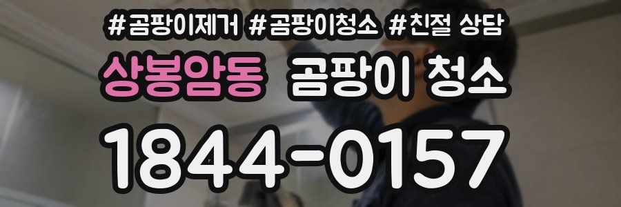 상봉암동 곰팡이 청소