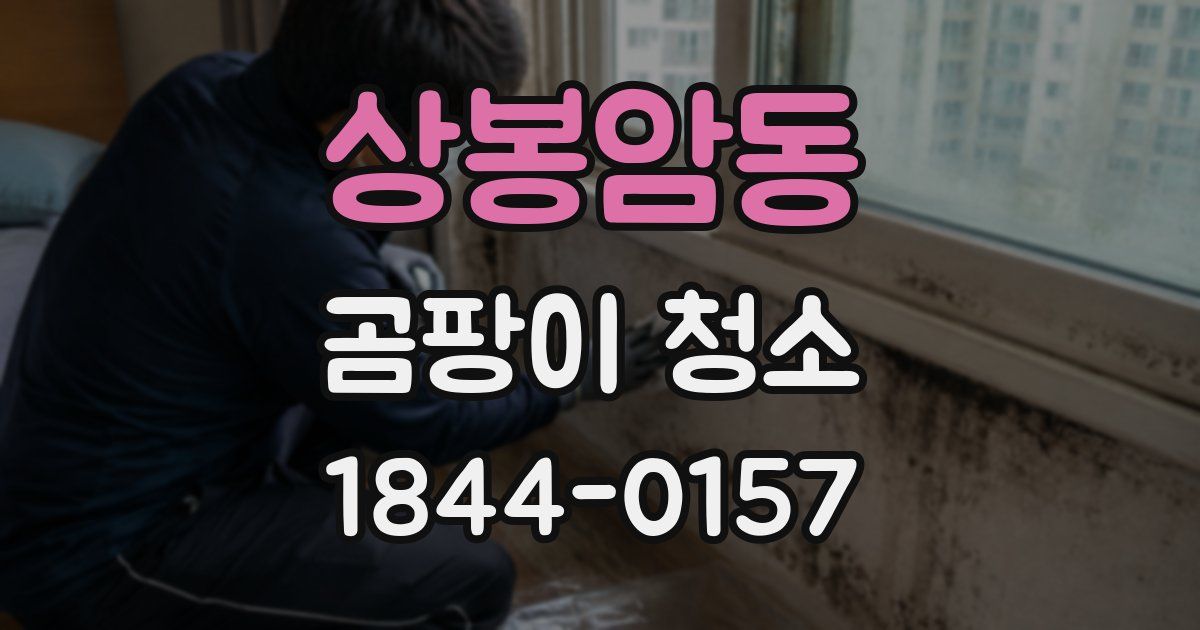 상봉암동 곰팡이 청소