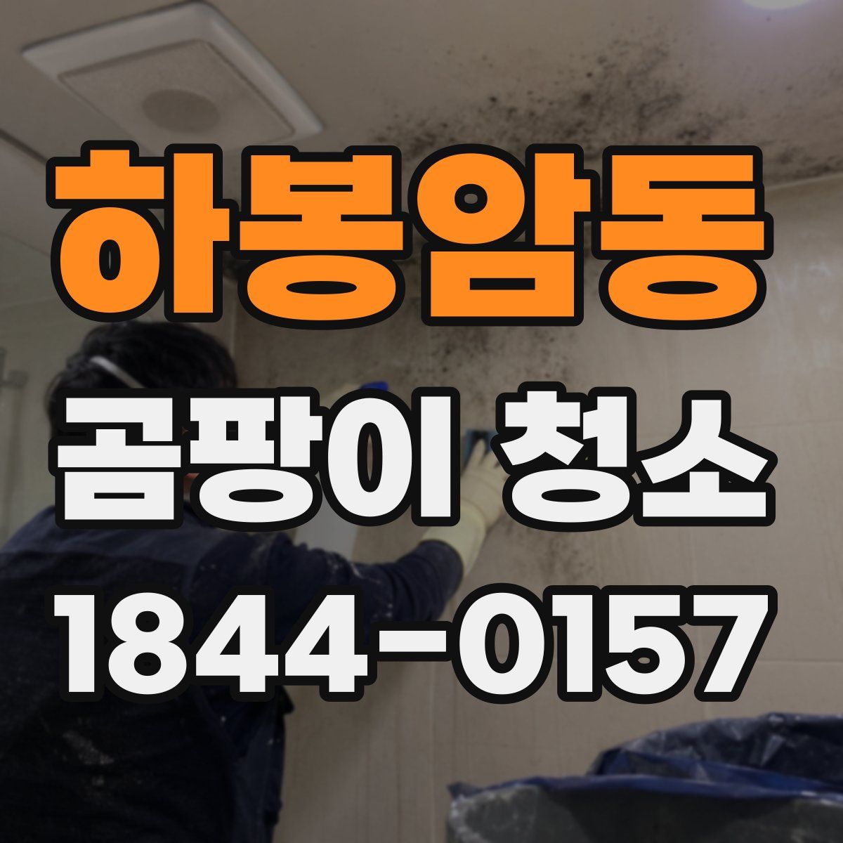 하봉암동 곰팡이 청소