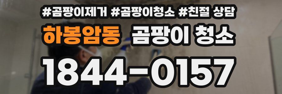 하봉암동 곰팡이 청소