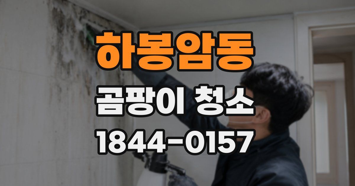 하봉암동 곰팡이 청소