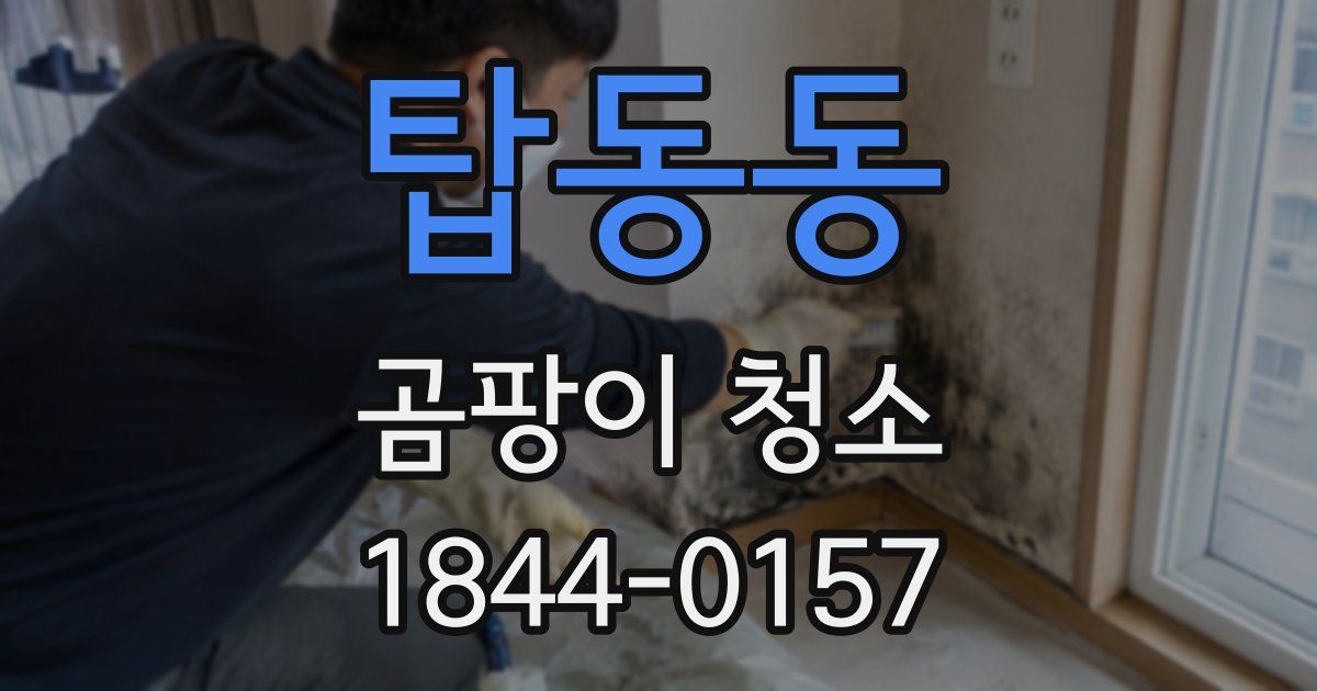 탑동동 곰팡이 청소
