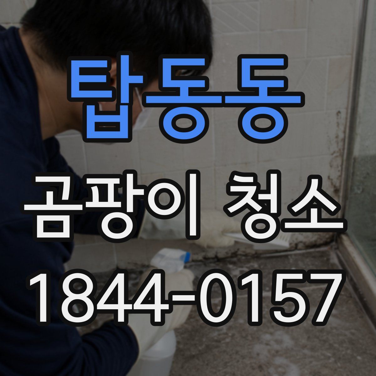 탑동동 곰팡이 청소
