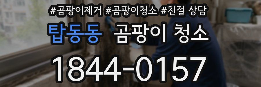 탑동동 곰팡이 청소