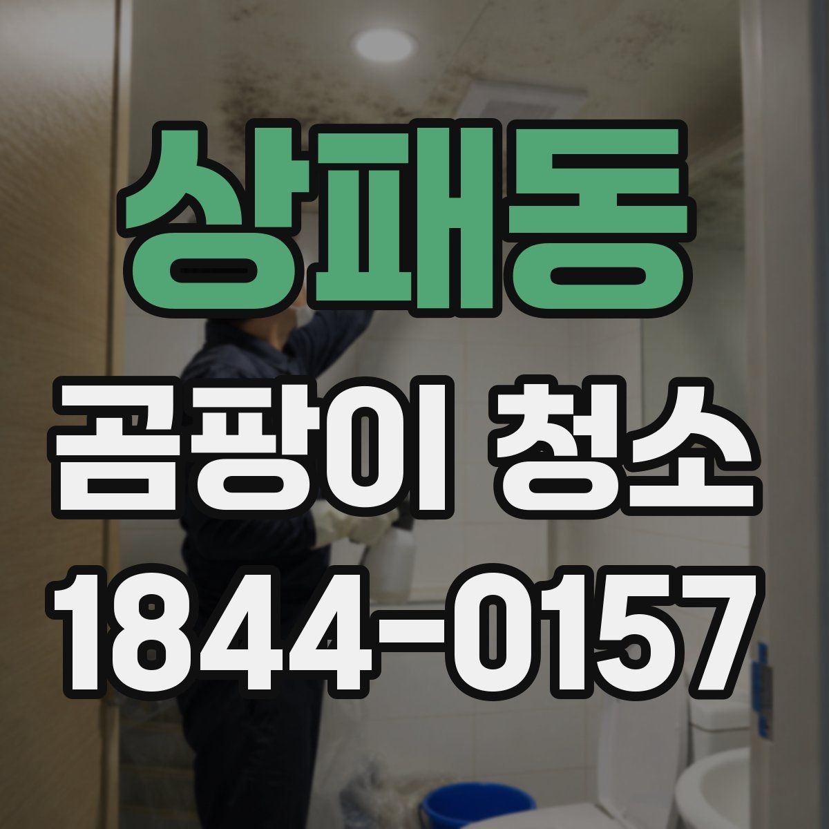 상패동 곰팡이 청소 후 다시 생기지 않게 하는 법