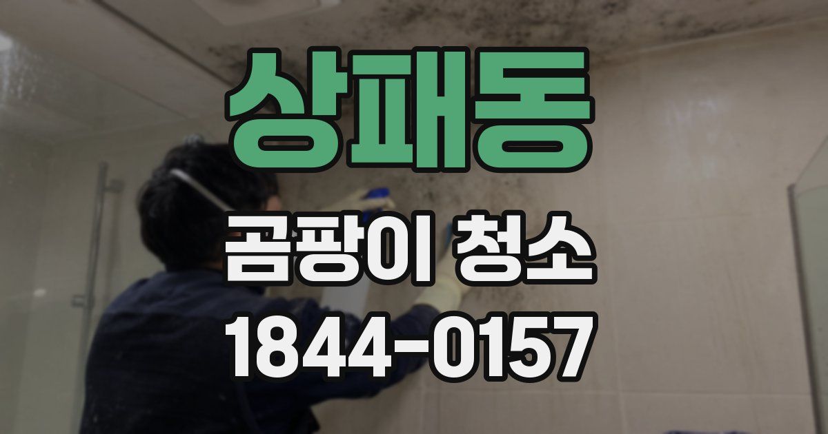 상패동 곰팡이 청소