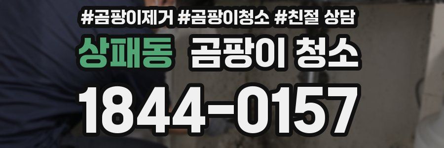 상패동 곰팡이 청소