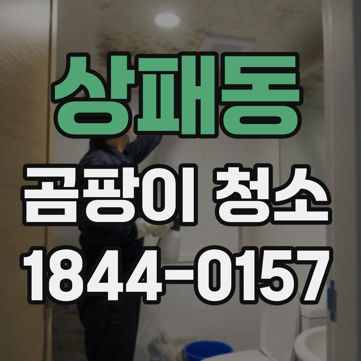 상패동 곰팡이 청소