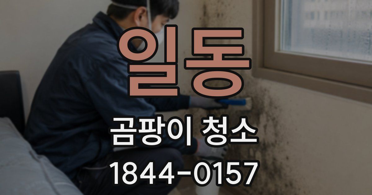 일동 곰팡이 청소
