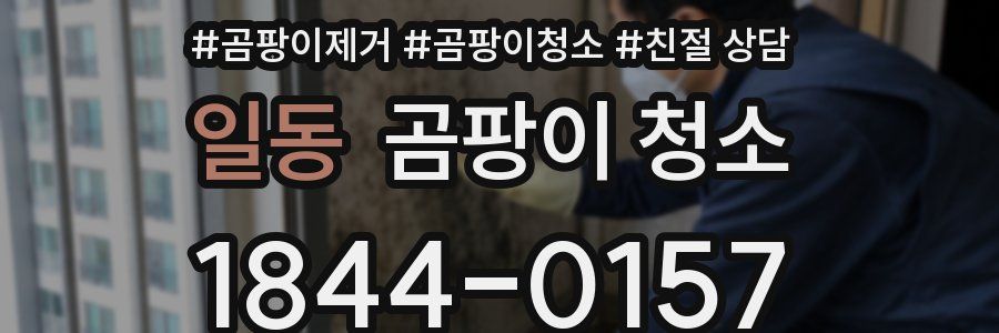 일동 곰팡이 청소