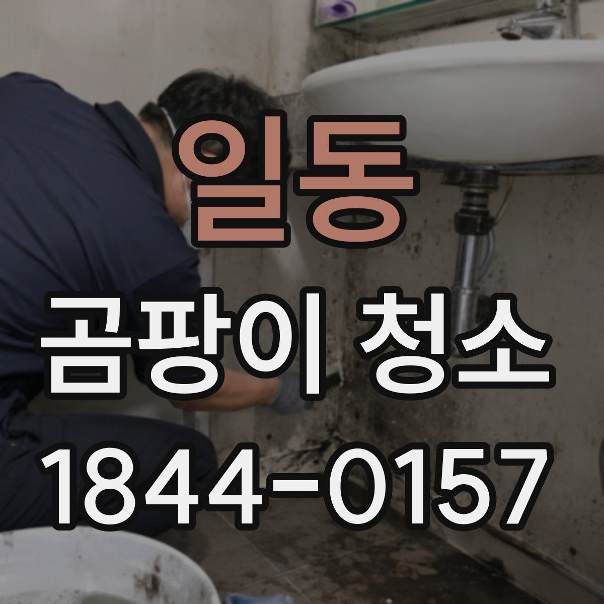 일동 곰팡이 청소