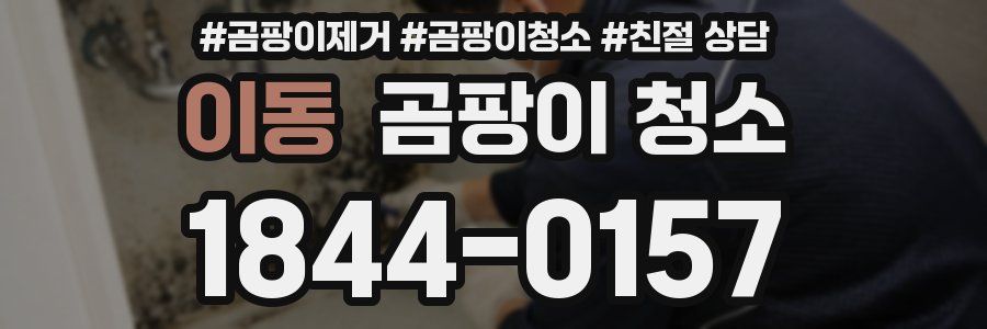 이동 곰팡이 청소