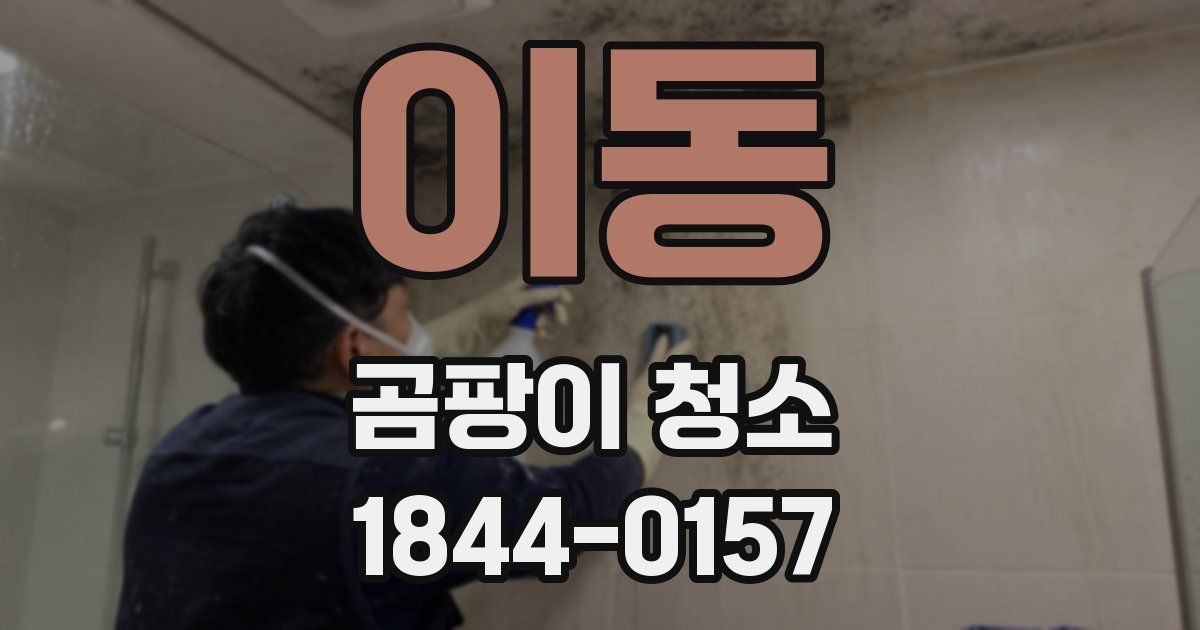 이동 곰팡이 청소