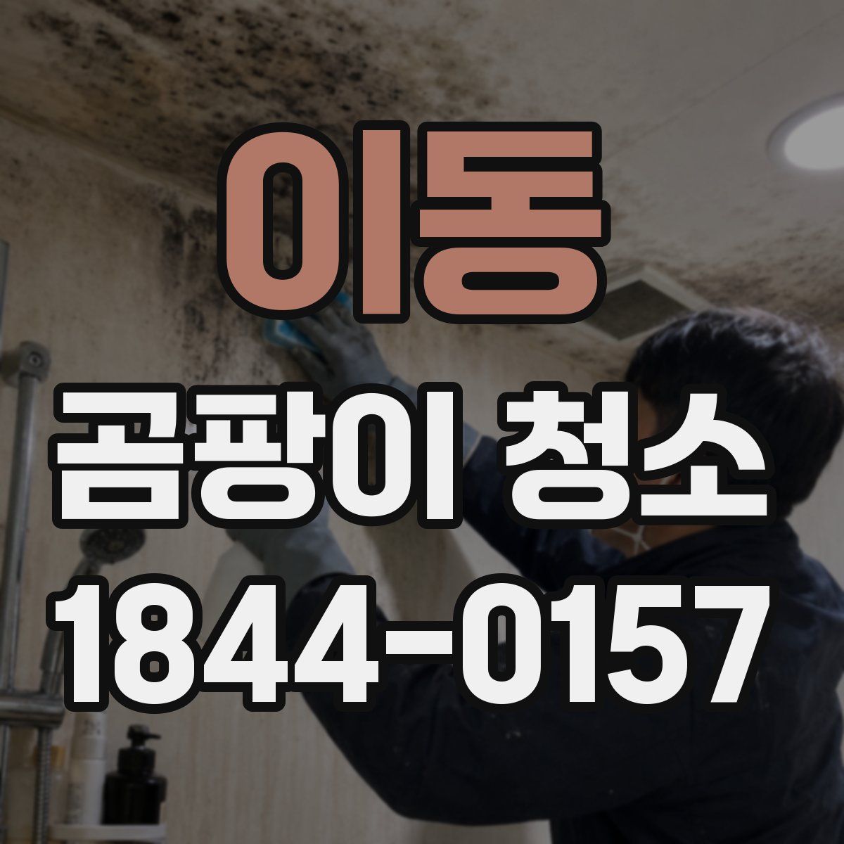 이동 곰팡이 청소