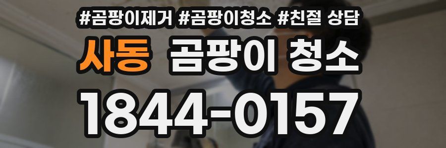 사동 곰팡이 청소