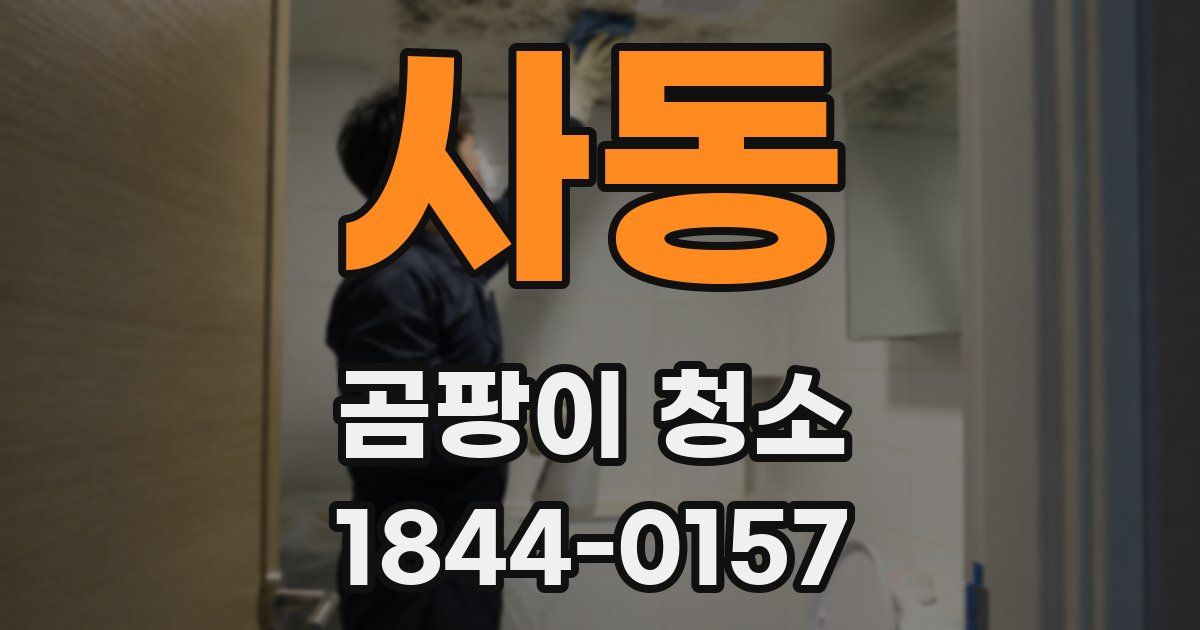 사동 곰팡이 청소