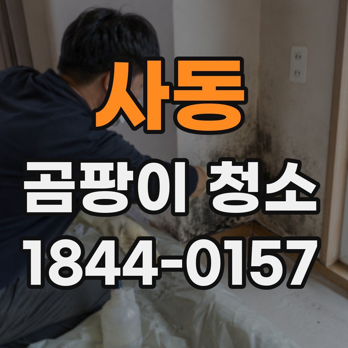 사동 곰팡이 청소