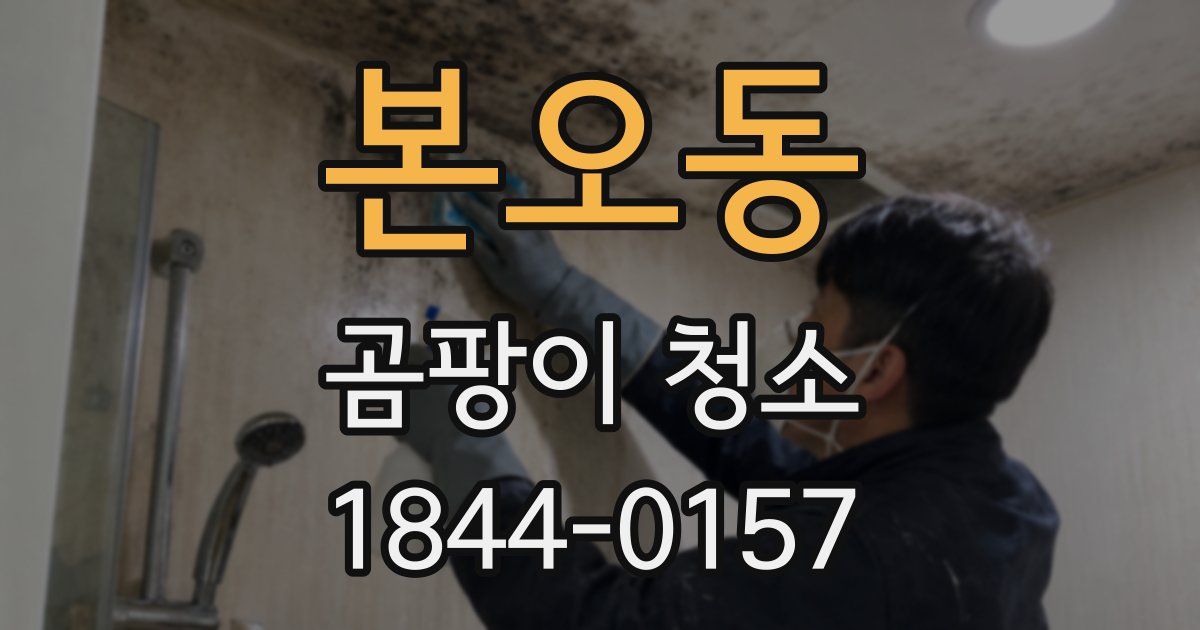 본오동 곰팡이 청소
