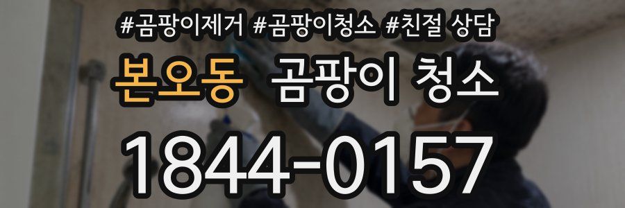 본오동 곰팡이 청소