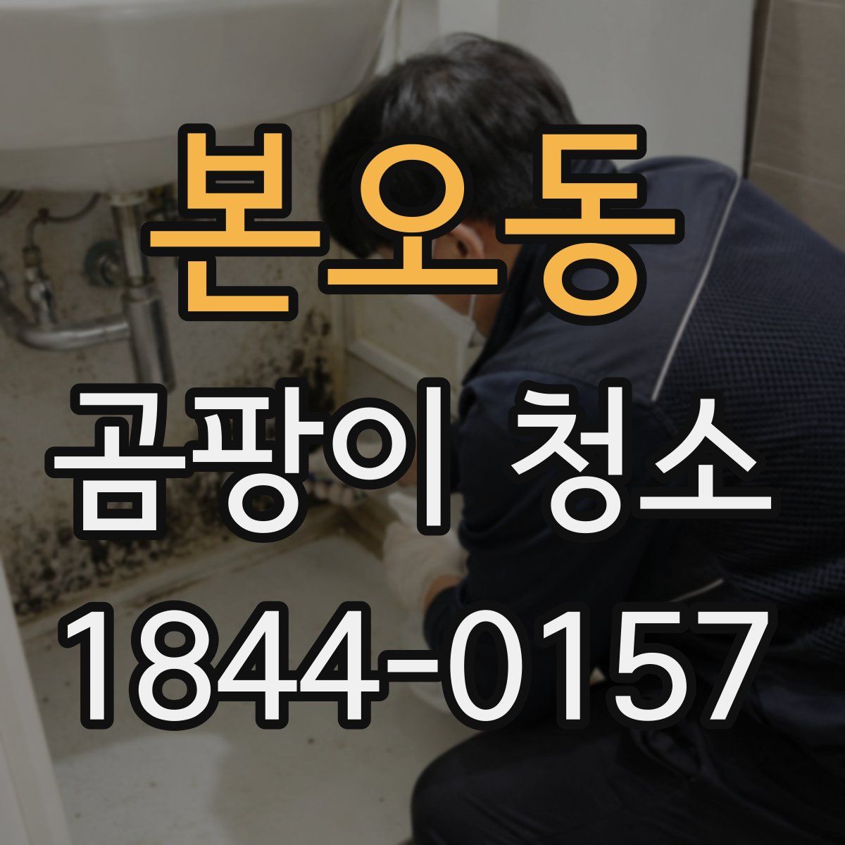 본오동 곰팡이 청소