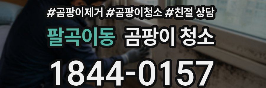 팔곡이동 곰팡이 청소