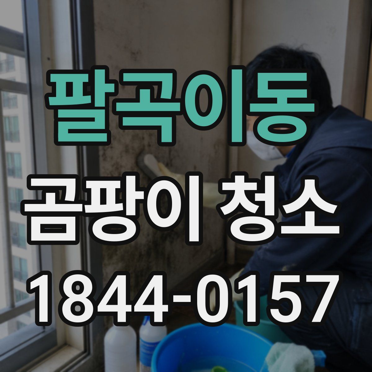 팔곡이동 곰팡이 청소